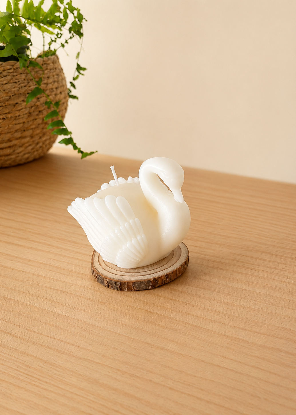 Cisne llum origen