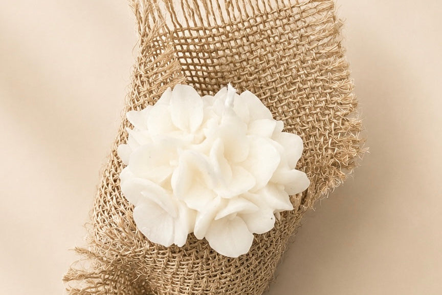 LLUM origen Hortensia