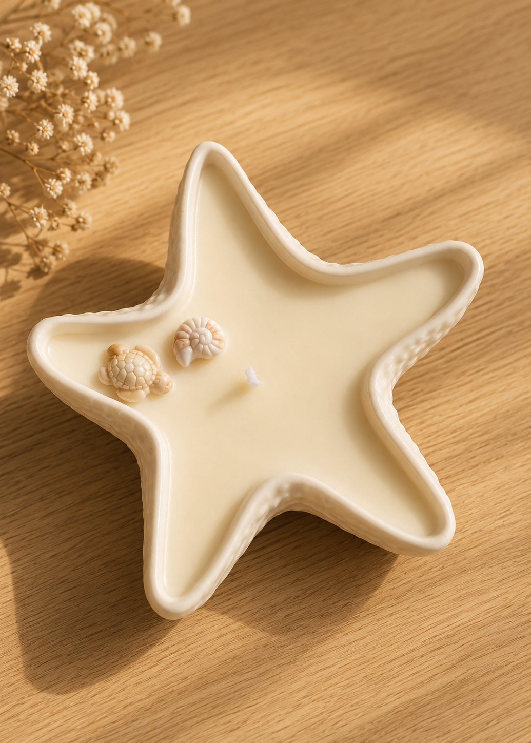 estrella de mar 