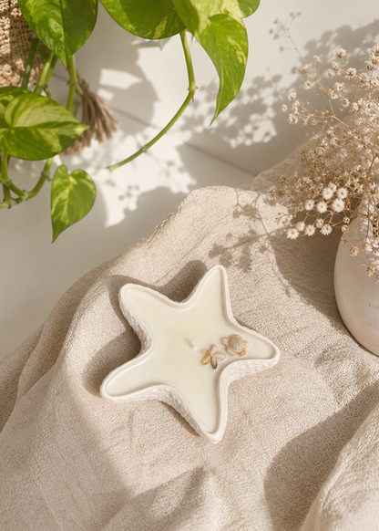 estrella de mar2