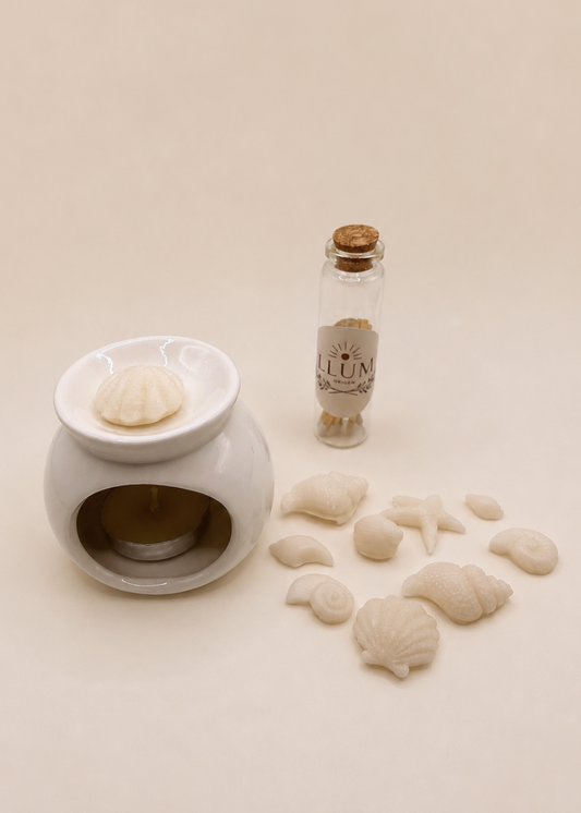 pack 2 wax melts con quemador
