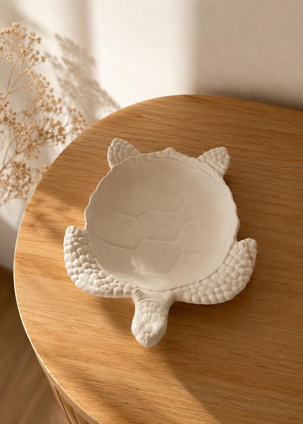 tortuga 1